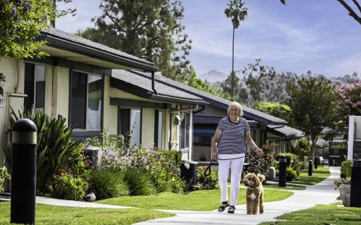 Redwood Terrace
